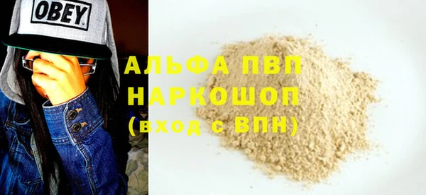 стафф Арсеньев
