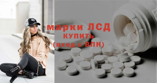 стафф Арсеньев