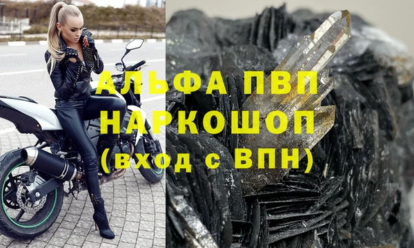 стафф Арсеньев