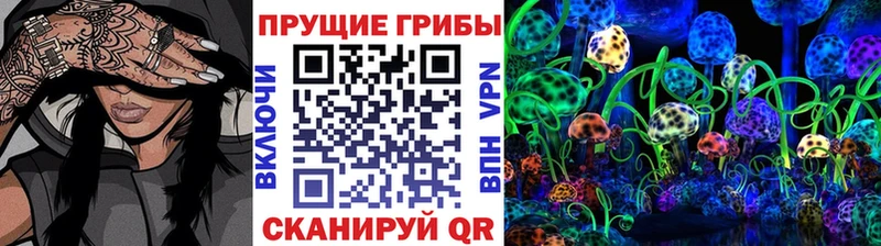 kraken как зайти  Советск  Псилоцибиновые грибы прущие грибы 